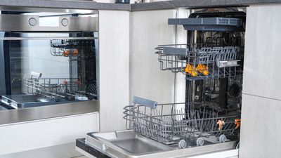 How to get rid of a smell in the dishwasher — freshen up your appliance in a jiffy