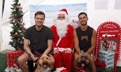 Santa’s little yelper: pets taking centre stage in family Christmas photos