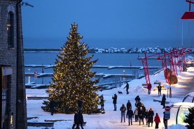 AP PHOTOS: Estonia, one of the first countries to introduce Christmas trees, celebrates the holiday