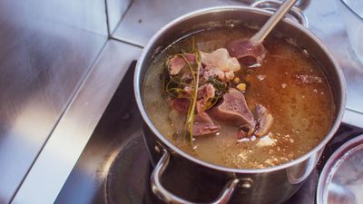 I fed my dog homemade bone broth for a month - here's how it went