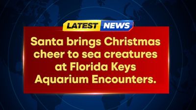 Santa Makes Waves, Spreads Cheer at Florida Aquarium!