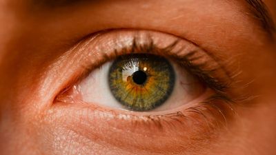 Infection of the eye, and how to protect vision