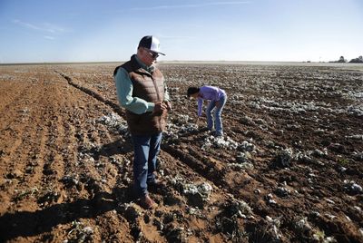 Second Generation Blooms: Daughter Joins Father as Hispanic Farming Duo Thrives in Texas