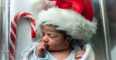 Canberra couple welcome Christmas baby, as Azlan roars into world