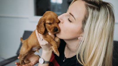 32 top tips for first time dog owners