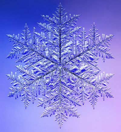 Just how big can a snowflake get? It depends on what you mean by 'snowflake'