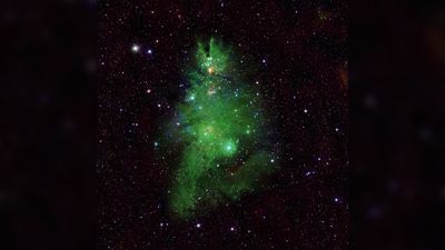 Space photo of the week: Shimmering 'Christmas Tree Cluster' wishes happy holidays to the universe