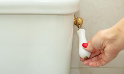 New Zealand mayor clarifies there’s no need to ‘stop pooing’ amid town’s sewerage stench crisis