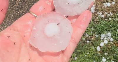 What's with the flower-shaped hail in Maitland?