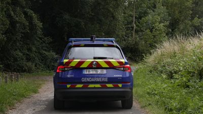 Man arrested over murder of woman and four children near Paris