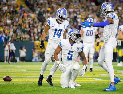 Where the Lions fit in the NFC playoff picture with 2 weeks to go