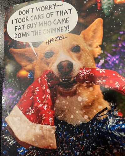 Skip Bayless' Fearless Dog Hazel Takes on Santa Claus