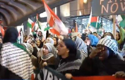Pro-Palestine protest ends in multiple arrests on Christmas Day in New York