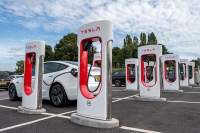 New report predicts what the electric vehicle market will look like in 2024