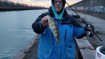 Chicago fishing: Yes, lakefront perch and still waiting for ice (N. Wis. updated)