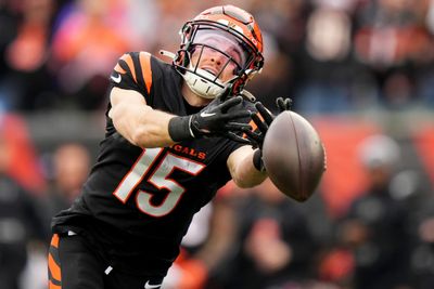 Bengals take huge drop in power rankings entering Week 17