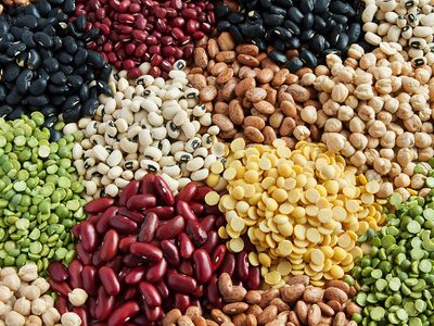 Cool beans: Why 2024 is set to be the year of the legume
