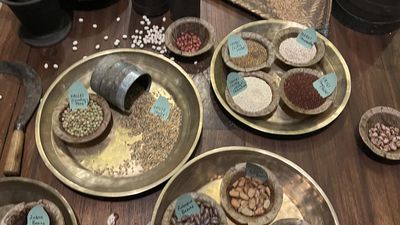 A session on millets and a self-reflective walk at The Nilgiris Earth Festival