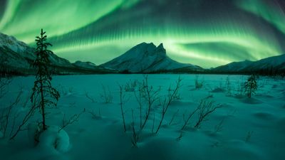 Northern lights photographer of the year winners