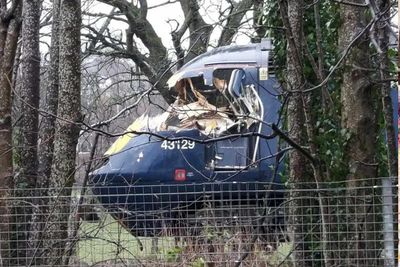 Tree falls on ScotRail driver's cab amid Storm Gerrit - driver unharmed