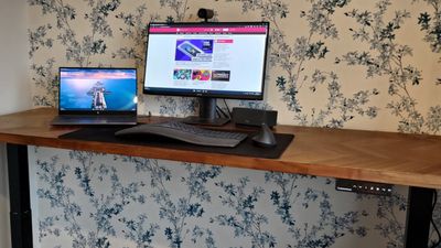 Autonomous SmartDesk Core review: This standing desk transformed my home office, and it's so quiet it doesn't wake my dog