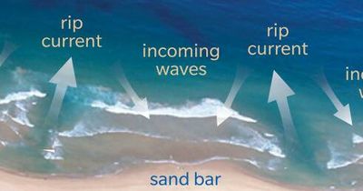 Summer of tragedy: Here is how to keep safe at the beach