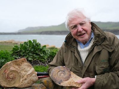 Sir David Attenborough says unearthing ‘one-in-a-billion’ fossil was a ‘great privilege’