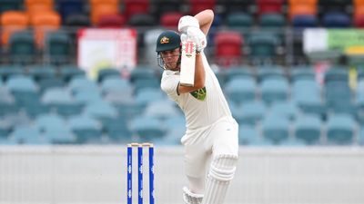 Ponting dismisses calls for Green to replace Warner