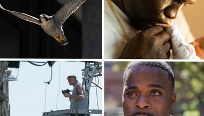 Quiet moments, a standoff and dive-bombing falcons: Sun-Times photographers share their favorite photos of 2023