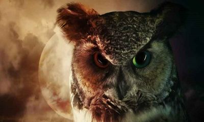Research reveals artery calcification more common in night owls