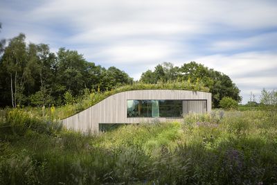 The House Under the Ground is a Dutch home surrounded in wildflowers and green meadow