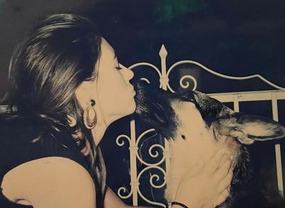 The pet I’ll never forget: Elizabeth Hurley on Nico the stabbed dog, ‘the loyal angel who kept me safe’