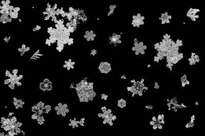 The unique mathematics of snowflakes