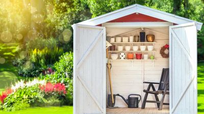 5 items never to store in a shed – according to the experts