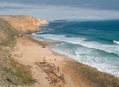Boy, 15, killed in shark attack while surfing off coast of Australia