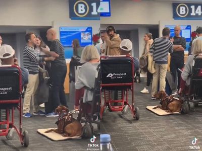 Couple has airport meltdown over dogs after flight home is delayed: ‘Remember the girls’