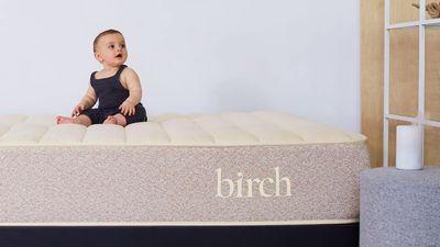 Which mattress brands don't use fiberglass in their beds?