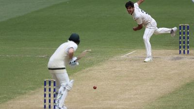 Post-lunch session delayed for a while in AUS vs PAK Test as third umpire gets stuck in lift