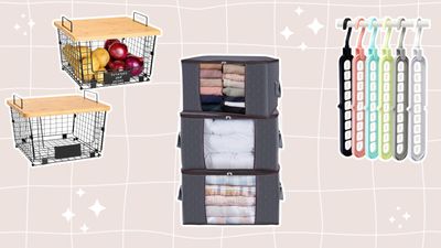 6 Amazon Winter Sale deals to help you get organized for 2024