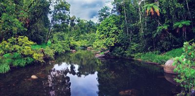 'Ecology on steroids': how Australia's First Nations managed Australia's ecosystems