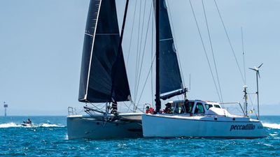 Peccadillo closes in on Melbourne to Hobart honours