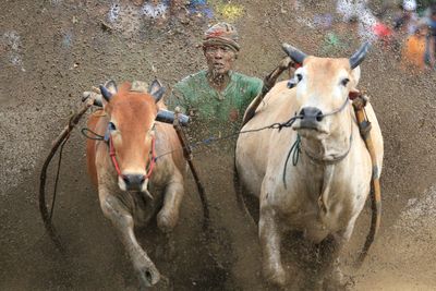 AP Week in Pictures: Global | Dec.22-Dec.28, 2023