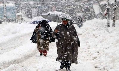 Weather Update: Freezing cold continues to grip Kashmir valley; Normal life severely affected