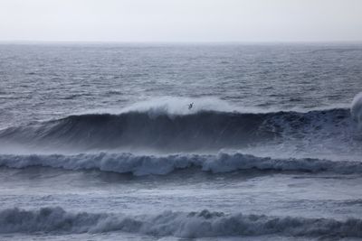 Monster Waves Threaten West Coast: California Braces for Extreme Conditions