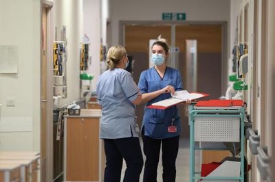 Cut number of NHS Scotland health boards in half, Ash Regan says