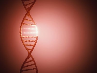 We Are About to Enter the Golden Age of Gene Therapy