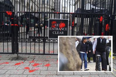 Two arrested as red paint thrown at Downing Street gates – as Sunak exits No 10 out of back door