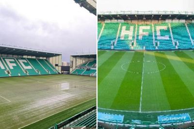Incredible transformation of Hibs pitch shown by stunning before & after pics