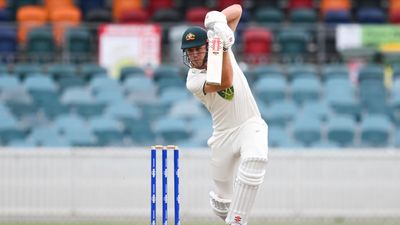 Green still a chance to replace Warner in opener's race