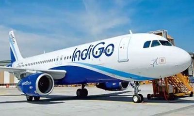 IndiGo apologizes after woman found worm in sandwich served to her